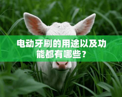 电动牙刷的用途以及功能都有哪些？