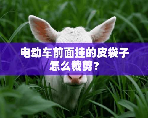 电动车前面挂的皮袋子怎么裁剪？