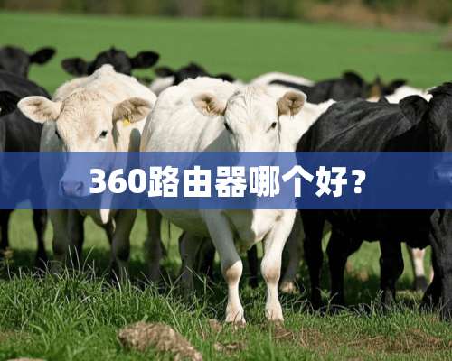 360路由器哪个好？