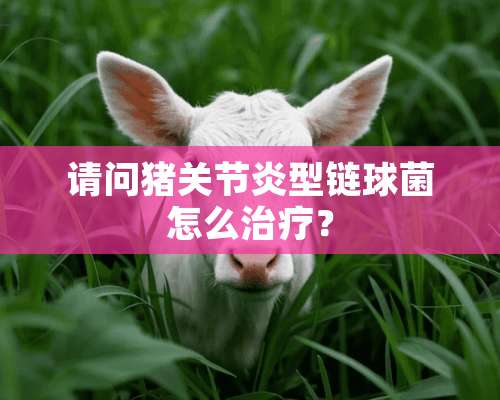 请问猪关节炎型链球菌怎么治疗？