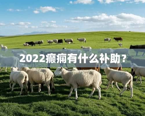 2022癫痫有什么补助？