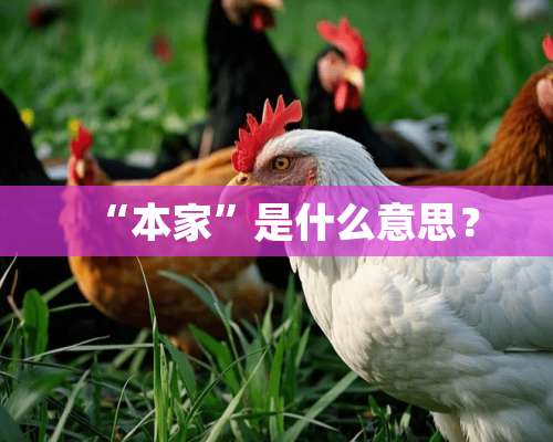 “本家”是什么意思？