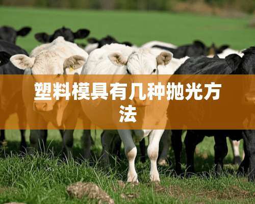 塑料模具有几种抛光方法