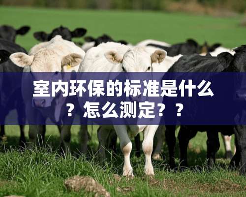 室内环保的标准是什么？怎么测定？？