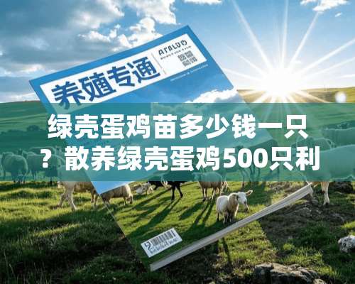 绿壳蛋鸡苗多少钱一只？散养绿壳蛋鸡500只利润多少？