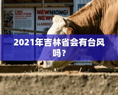 2021年吉林省会有台风吗？