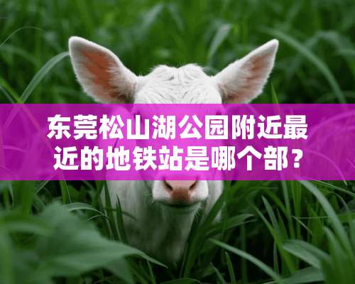 东莞松山湖公园附近最近的地铁站是哪个部？