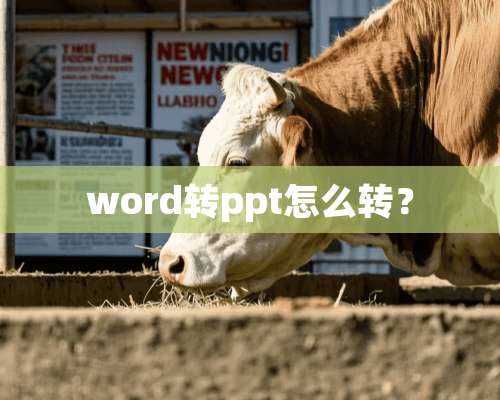 word转ppt怎么转？