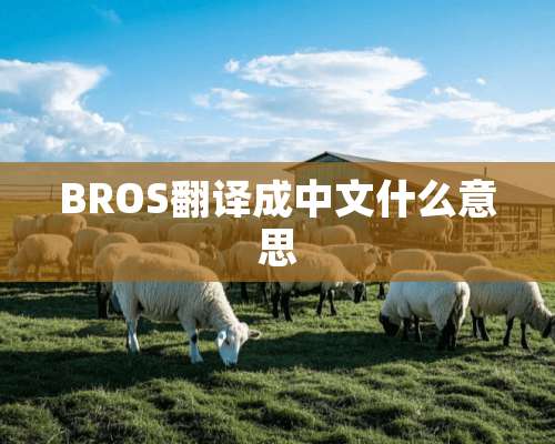 BROS翻译成中文什么意思