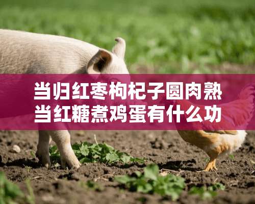 当归红枣枸杞子圆肉熟当红糖煮鸡蛋有什么功效