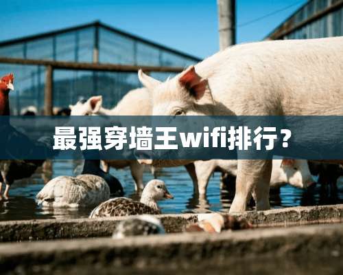 最强穿墙王wifi排行？