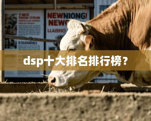 dsp十大排名排行榜？