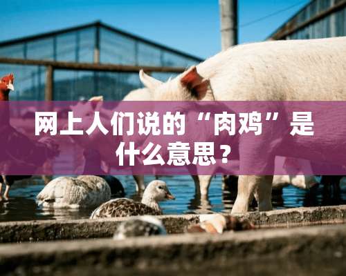 网上人们说的“肉鸡”是什么意思？