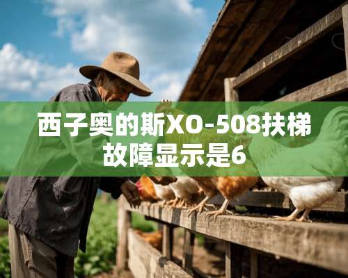 西子奥的斯XO-508扶梯故障显示是6