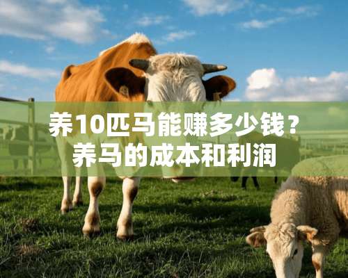 养10匹马能赚多少钱？养马的成本和利润