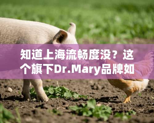 知道上海流畅度没？这个旗下Dr.Mary品牌如何？这的产品都有什么呢？