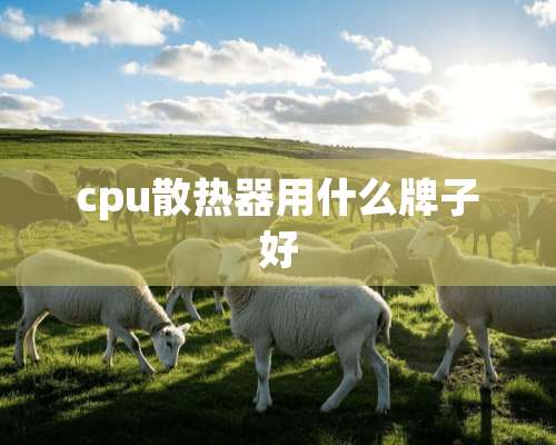 cpu散热器用什么牌子好