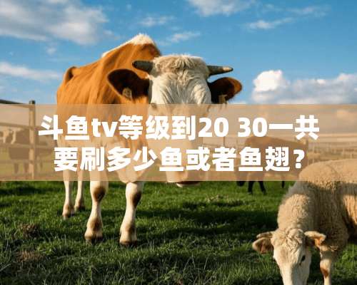 斗鱼tv等级到20 30一共要刷多少鱼或者鱼翅？