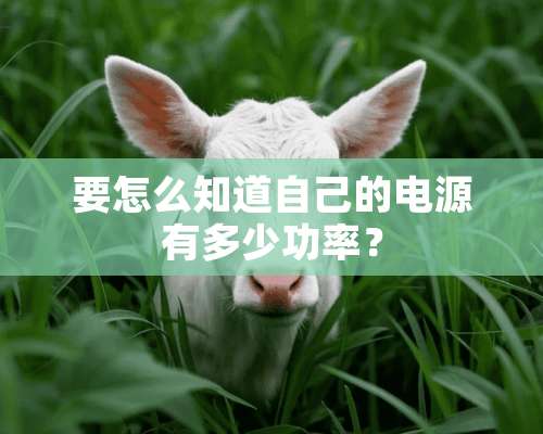 要怎么知道自己的电源有多少功率？