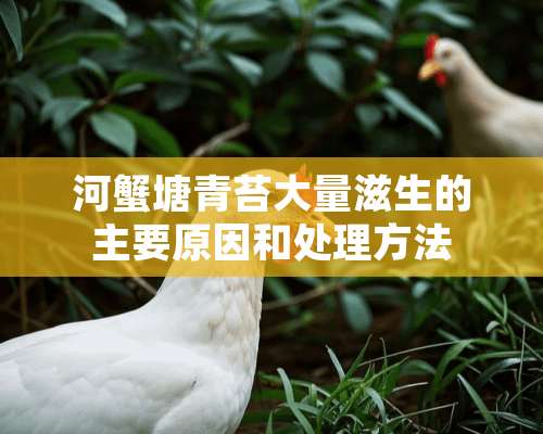 河蟹塘青苔大量滋生的主要原因和处理方法