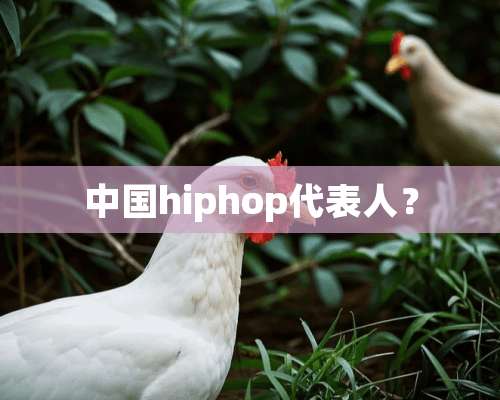 中国hiphop代表人？