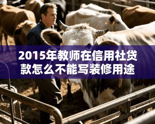 2015年教师在信用社贷款怎么不能写装修用途了