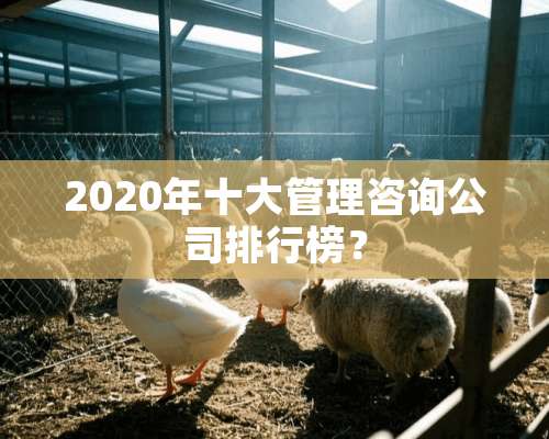 2020年十大管理咨询公司排行榜？