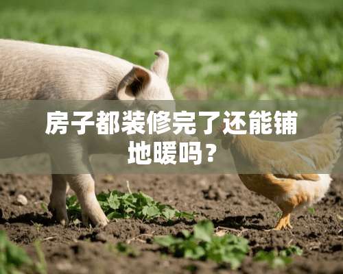 房子都装修完了还能铺地暖吗？