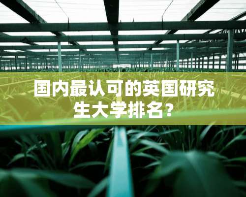 国内最认可的英国研究生大学排名？