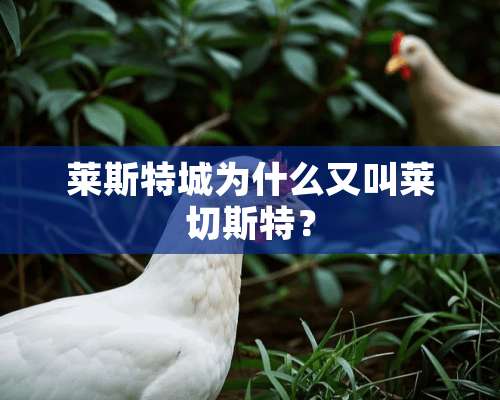 莱斯特城为什么又叫莱切斯特？