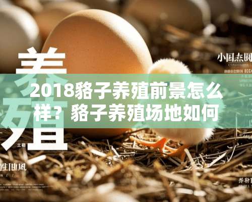 2018貉子养殖前景怎么样？貉子养殖场地如何建设？