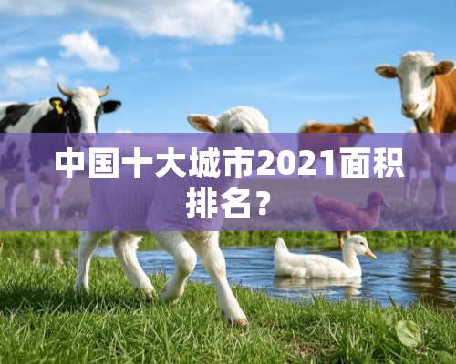 中国十大城市2021面积排名？