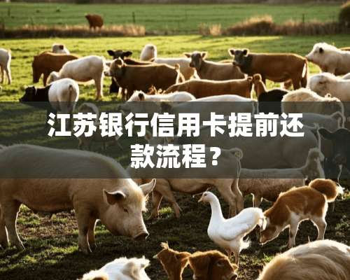 江苏银行***提前还款流程？