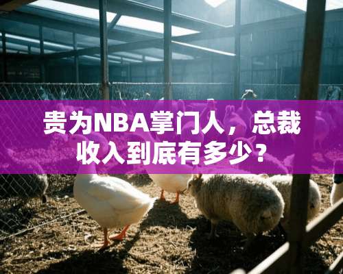 贵为NBA掌门人，总裁收入到底有多少？