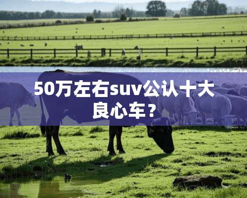 50万左右suv公认十大良心车？