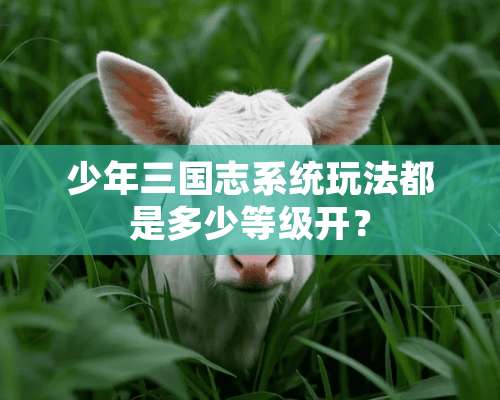 少年三国志系统玩法都是多少等级开？