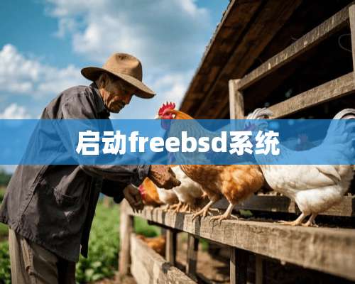 启动freebsd系统