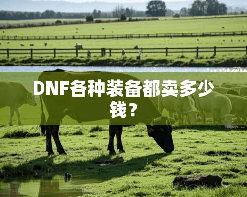 DNF各种装备都卖多少钱？