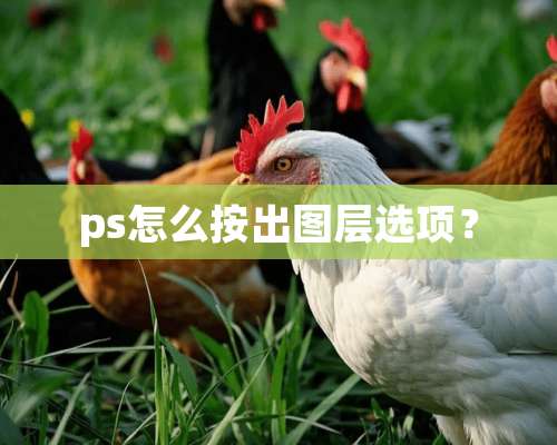 ps怎么按出图层选项？