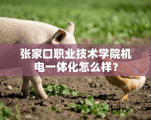 张家口职业技术学院机电一体化怎么样？