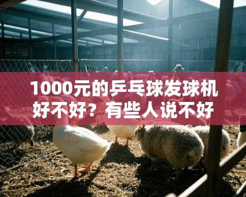 1000元的乒乓球发球机好不好？有些人说不好，是哪方面不好？