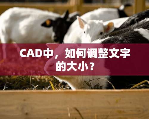 CAD中，如何调整文字的大小？