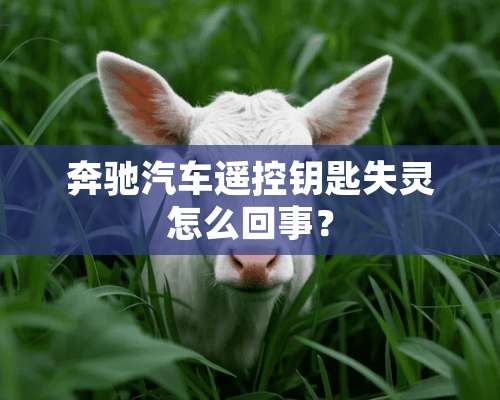 奔驰汽车遥控钥匙失灵怎么回事？