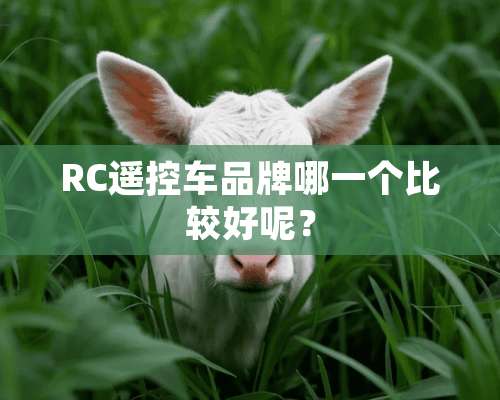 RC遥控车品牌哪一个比较好呢？