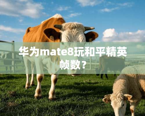 华为mate8玩和平精英帧数？