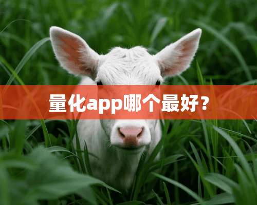 量化app哪个最好？