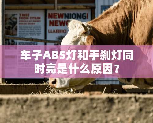 车子ABS灯和手刹灯同时亮是什么原因？