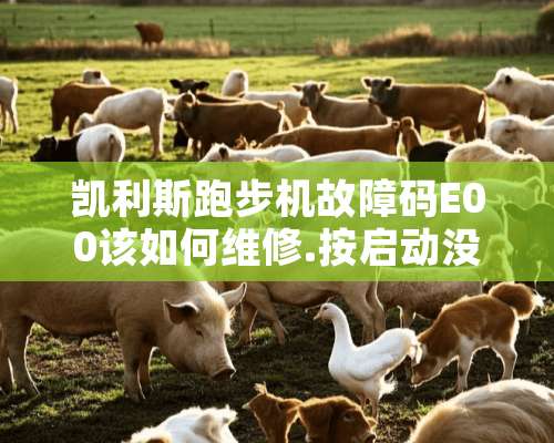 凯利斯跑步机故障码E00该如何维修.按启动没反应，灯亮。