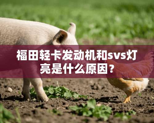 福田轻卡发动机和svs灯亮是什么原因？