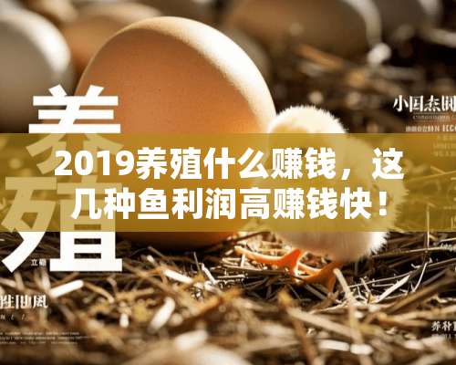 2019养殖什么赚钱，这几种鱼利润高赚钱快！